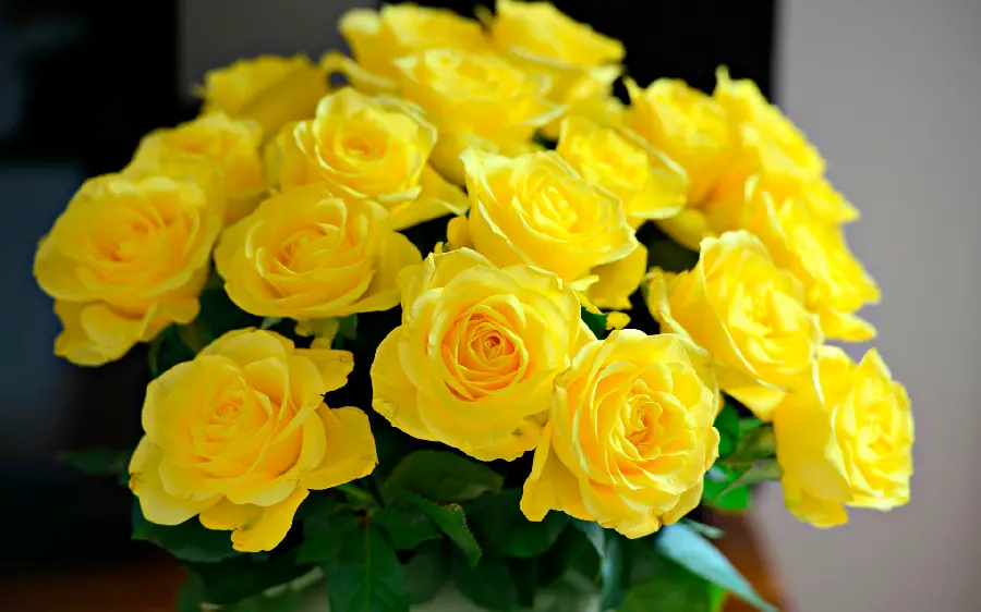 Download unique stock photo of yellow rose bouquet 