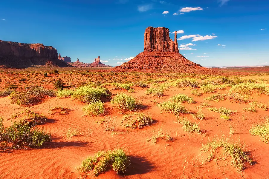 Photo of pristine vegetation and some rocky cliffs in the Arizona desert