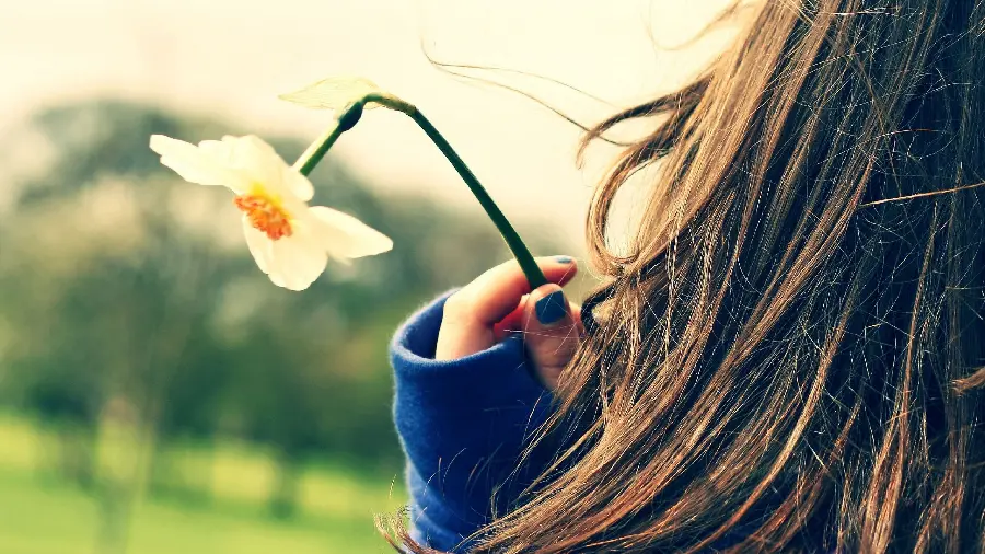 Windows background 12 with a long-haired girl and daffodils 