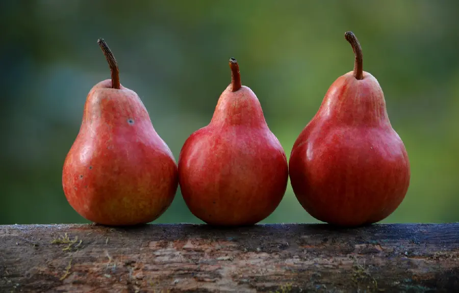 A beautiful photo of fresh and delicious pears