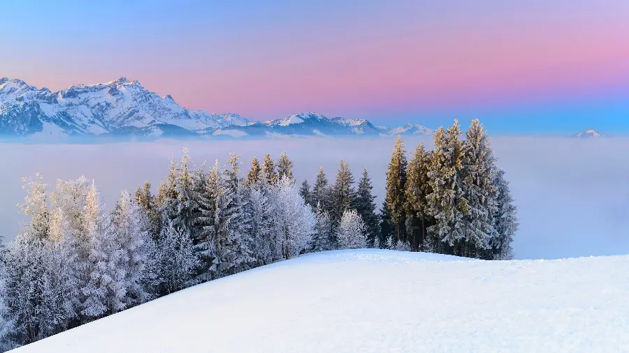 System Background with Amazing Snowy Landscape Design Under Beautiful Sky 