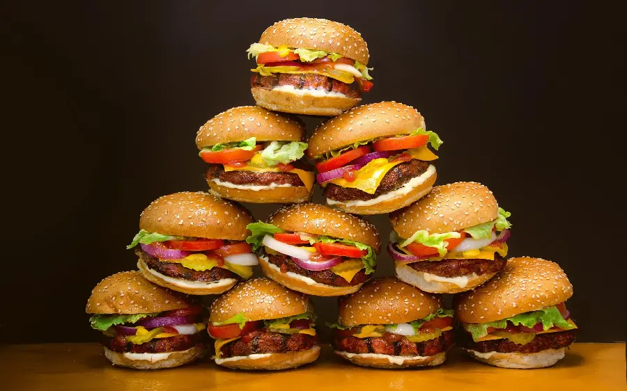 Most Viewed Hamburger Mountain Photo for Fast Food Instagram Page