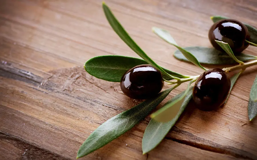 High quality background of three good black olives