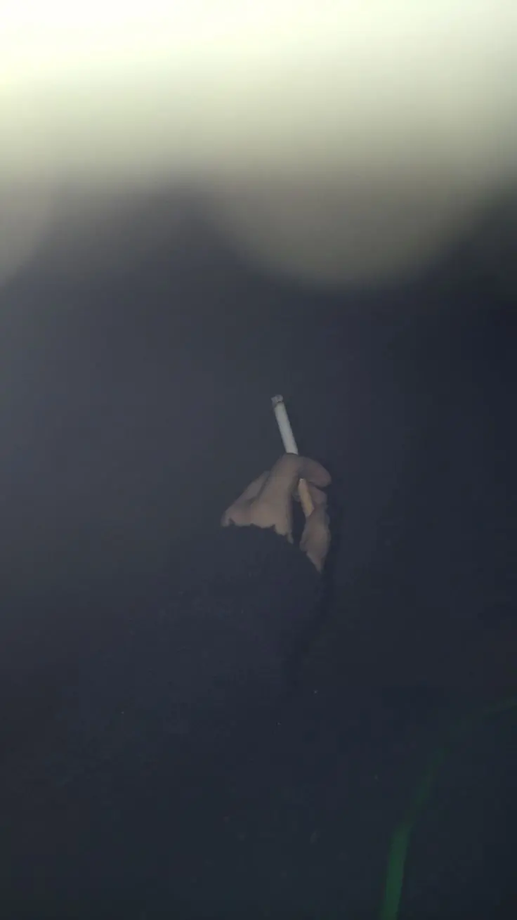 The Most Viewed Smoking Background in Excellent 4K Quality