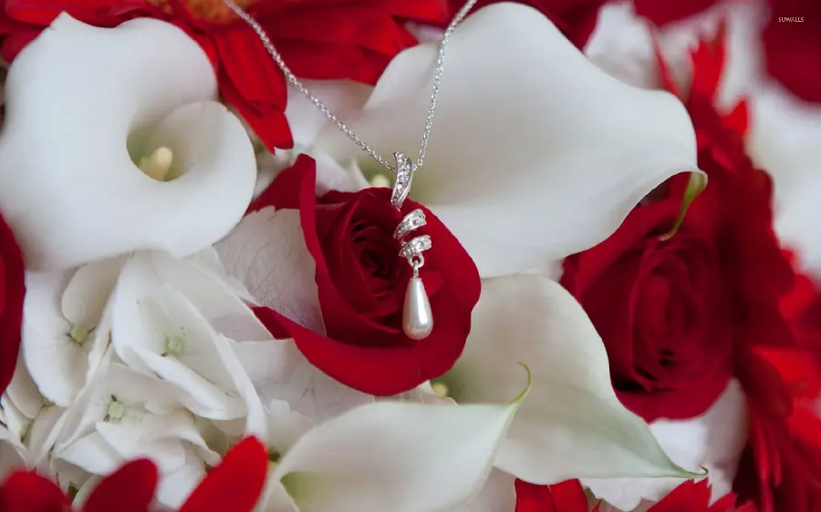 Full HD high quality background image of a pearl necklace in a shell and orchids and red roses