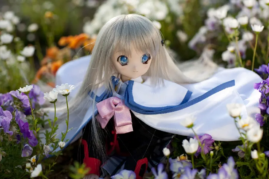 Famous Anime Doll Picture in Nature for Instagram