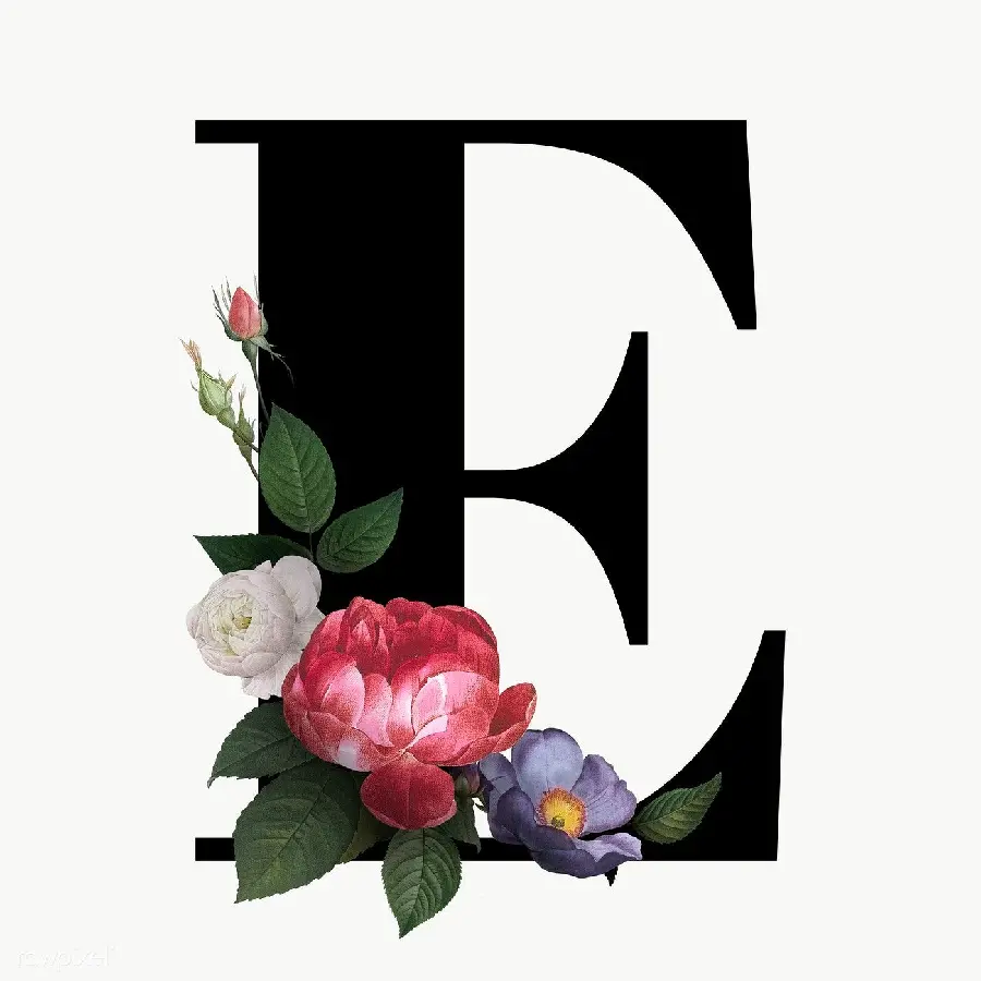 Special and interesting logo of the English letter E with high quality 