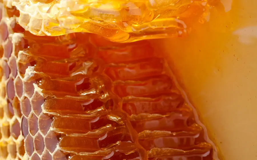 A special and special view of beeswax for your profile