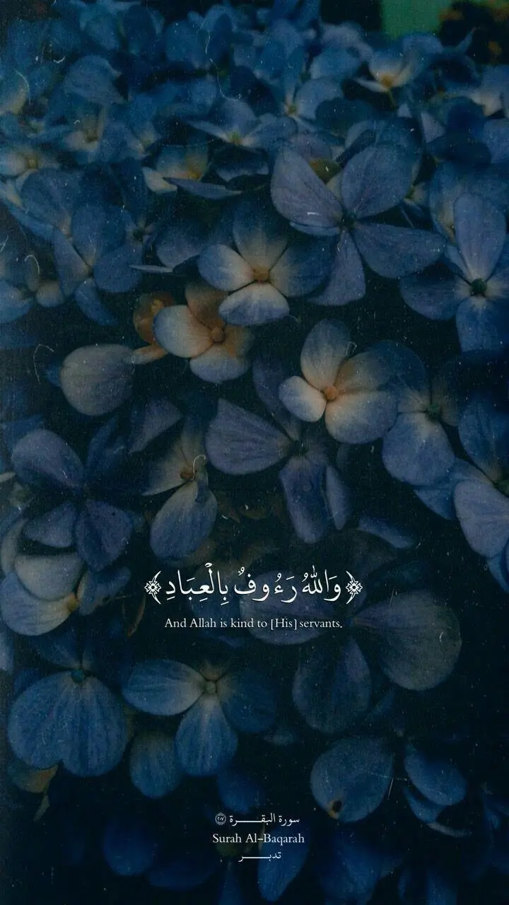 Download a very beautiful religious wallpaper of a verse of the Quran and a violet flower
