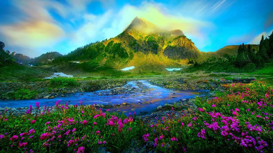 Beautiful and special background photo of lush nature at the bottom of the mountain in 8k quality 