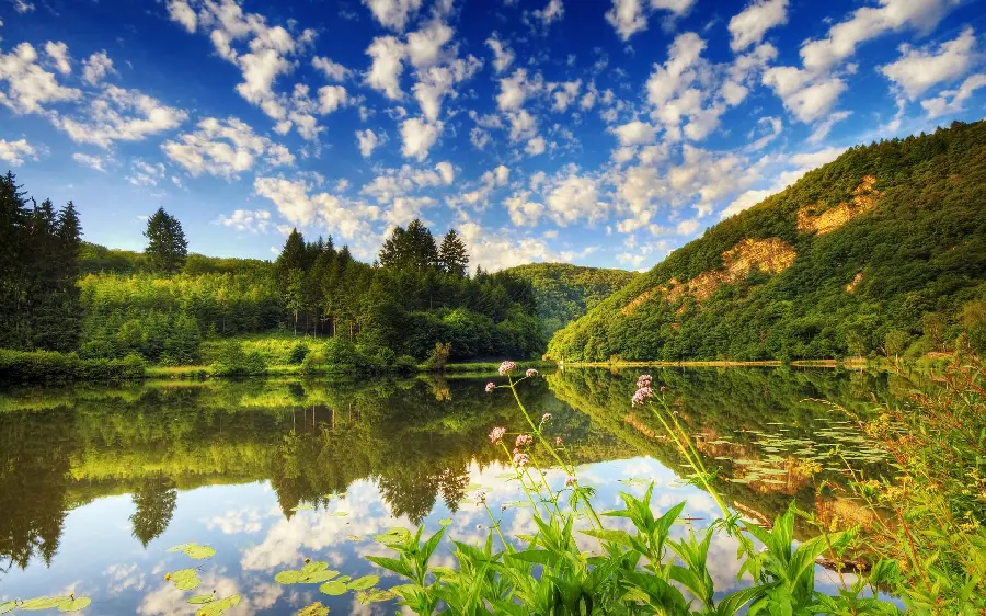 Unique profile photo of lush nature under a cloudy evening sky in high quality 