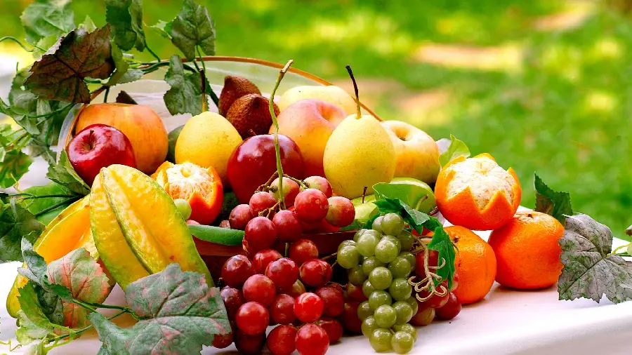 Artistic frame of delicious and colorful fruits for health content on social networks 
