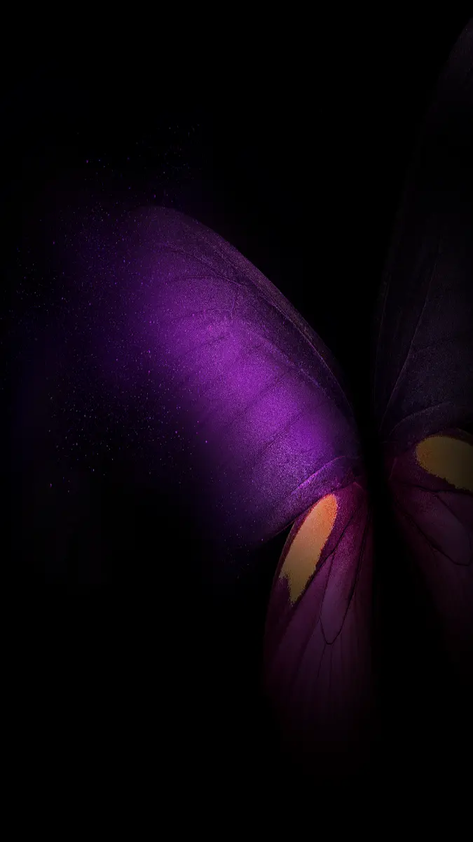 Dreamy photo with a black background suitable for the Z Fold 4 5G phone