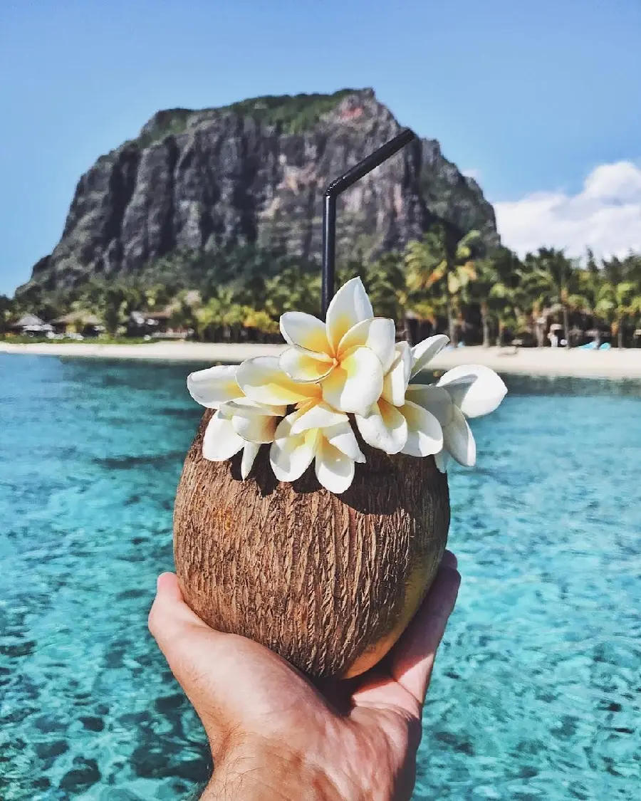 The most interesting image of a coconut decorated with flowers with a beautiful blue ocean background in 8k quality for your profile