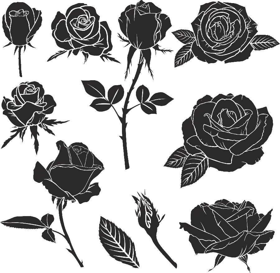 Download images of various types of black flowers for condolences with a blank background