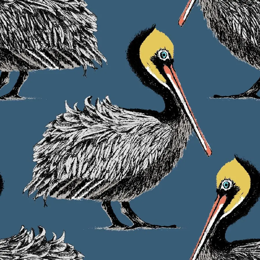 Fantasy photo of a pelican in the middle of the screen and its components around
