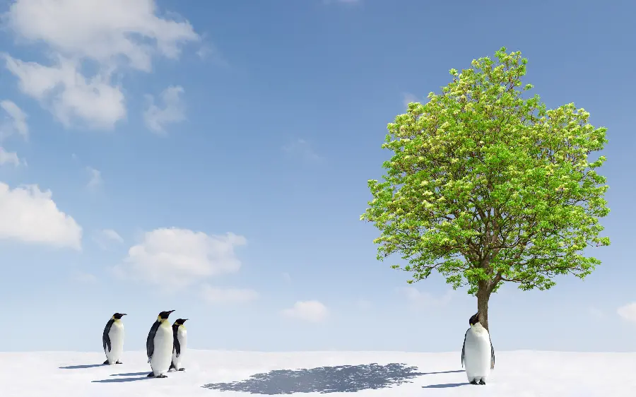 Funny background of snowy nature and the picture of a green tree and a penguin in His shadow with three penguins on the other side