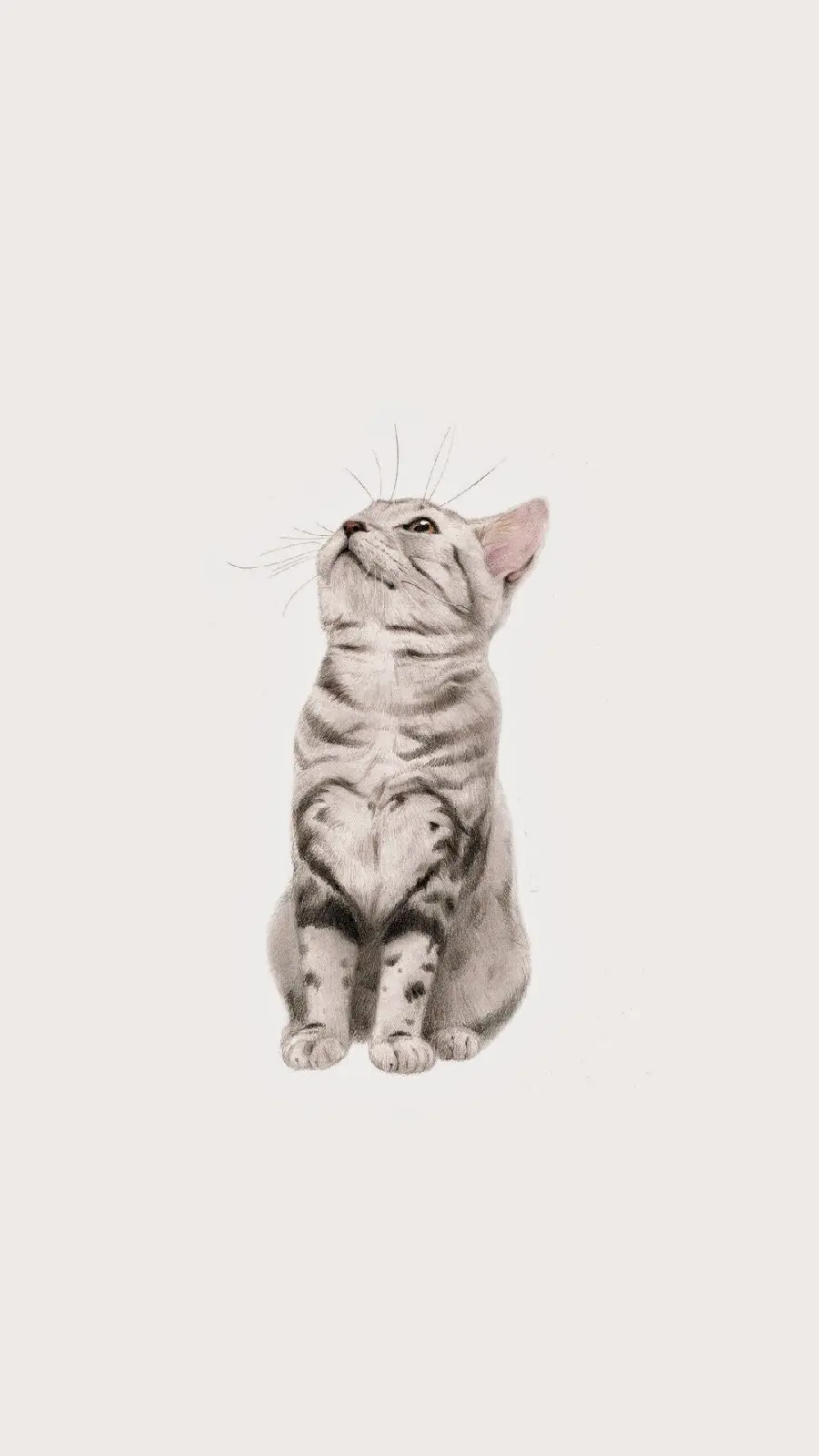 Cute poster with a white background of a cat staring at the horizon in hd quality