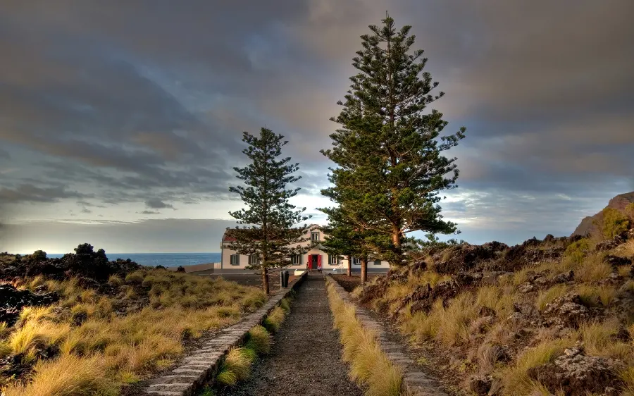 Download stock photo of summer nature and photo of a villa house and two tall and short trees
