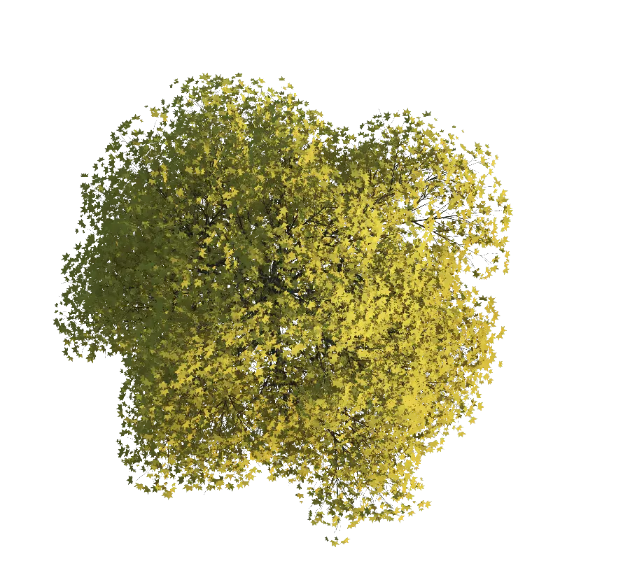 Download the latest PNG tree photo with direct link 