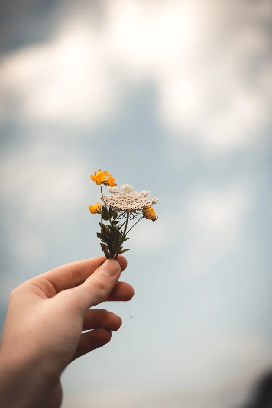 Simple stock image of a small orange and white flower in a hand
