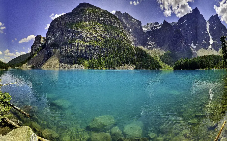 A spectacular view of nature above and below the sea for your desktop 