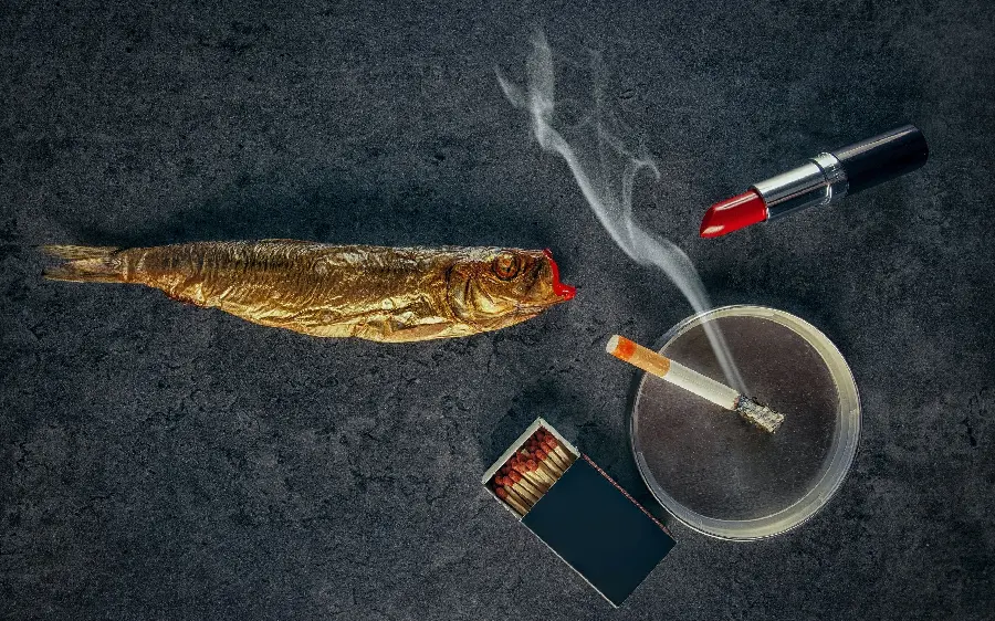 Vector color collage of red lipstick and goldfish and matchbox and ashtray with cigarette smoke