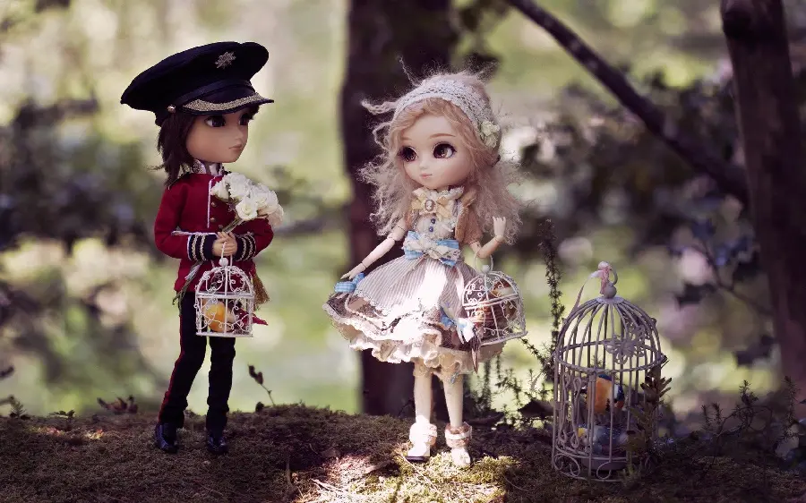 Lovely HD Stock Photo of Two Princess and Prince Dolls 