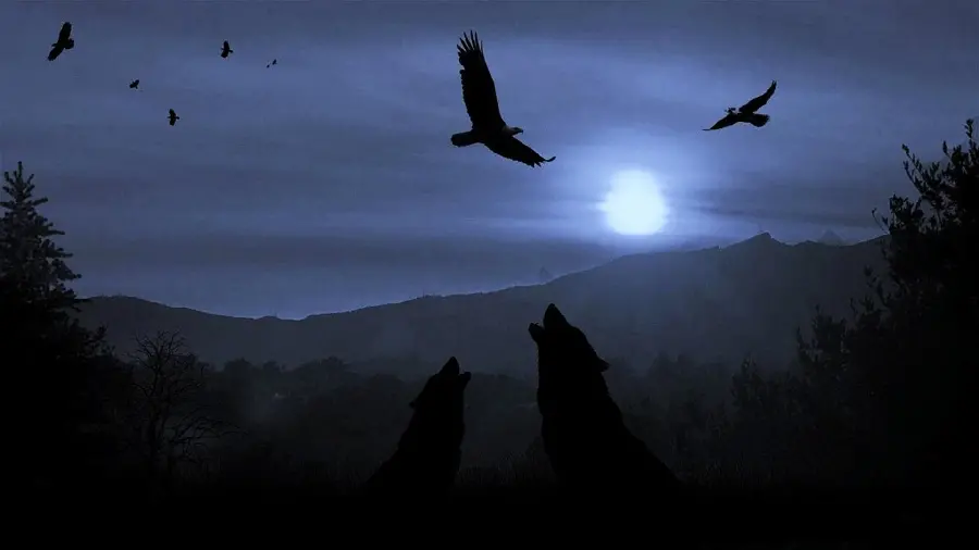 Two wolves howling along the moonlight from a special view