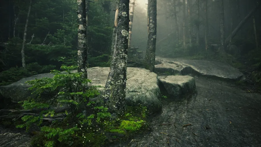 Beautiful foggy forest road image in HD quality for printing 