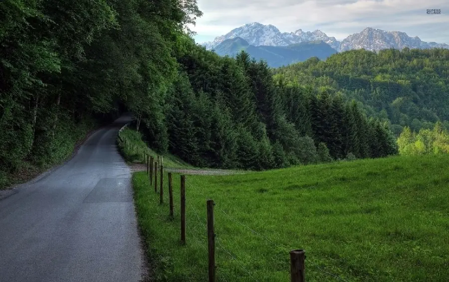 New Background of Green Forest Road for Instagram HD 