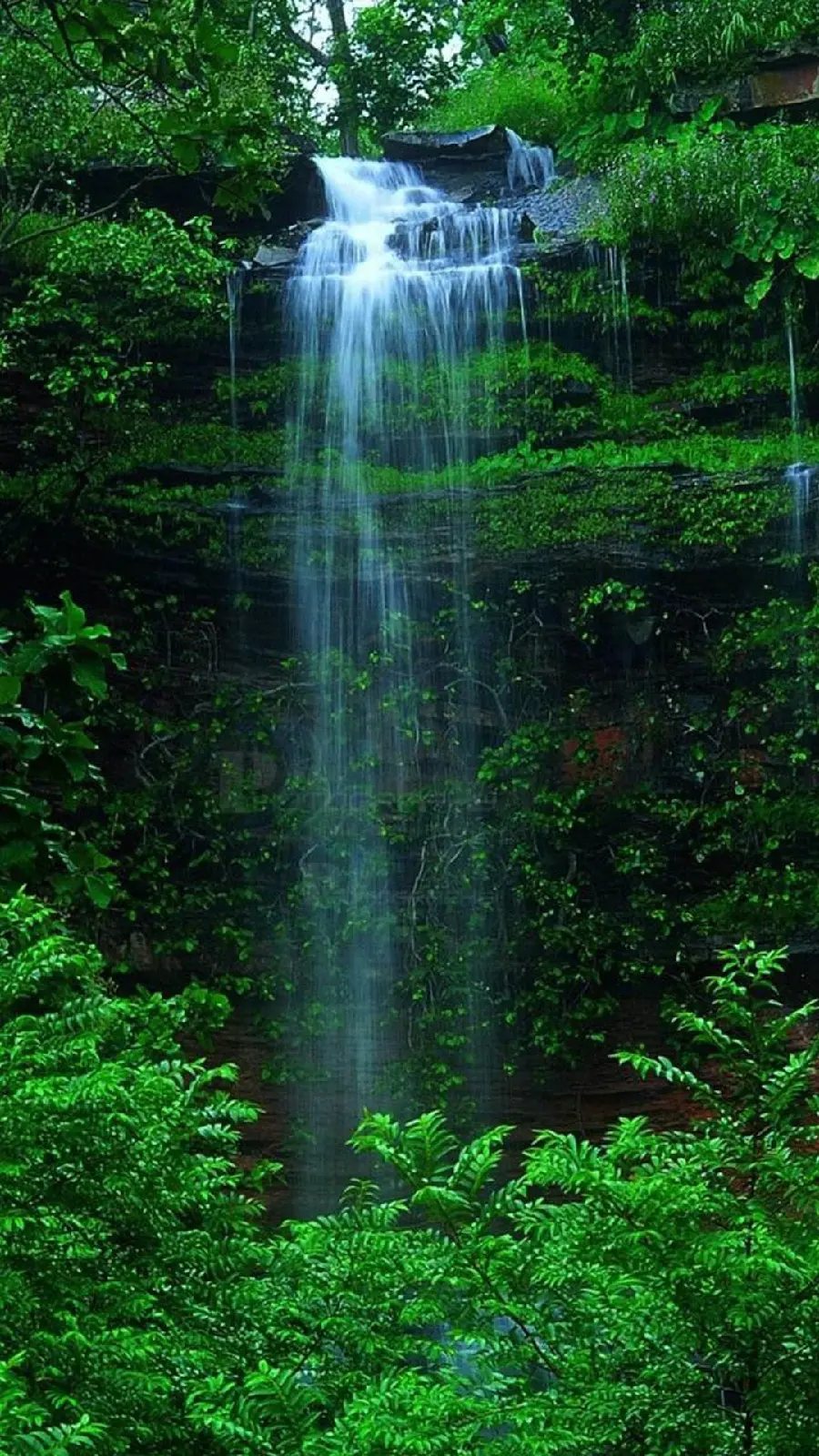 Special Wallpaper of Green Nature Around the Waterfall in HD Quality