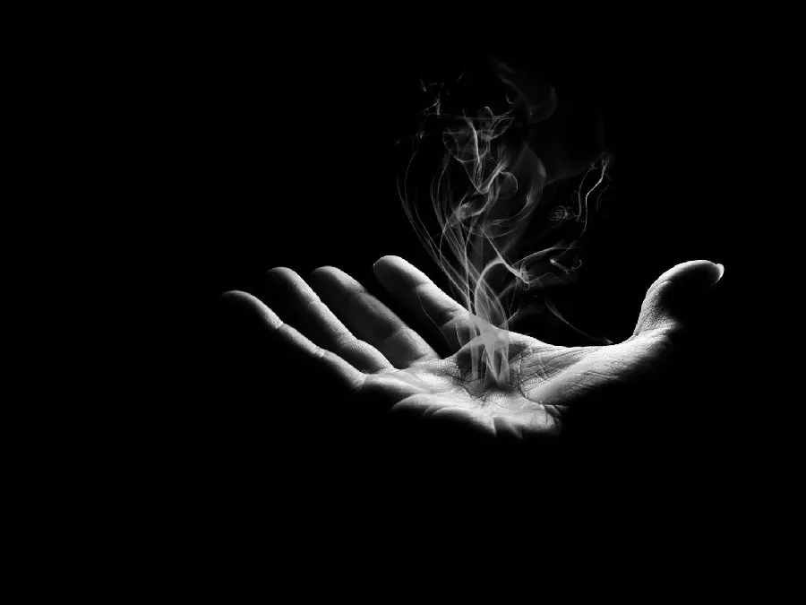 Enchanting black and white image with a magical palm design