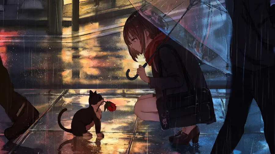 Romantic anime profile photo of a girl with an umbrella on her head and kneeling in front of a cat with a red rose in her mouth in the rain anime