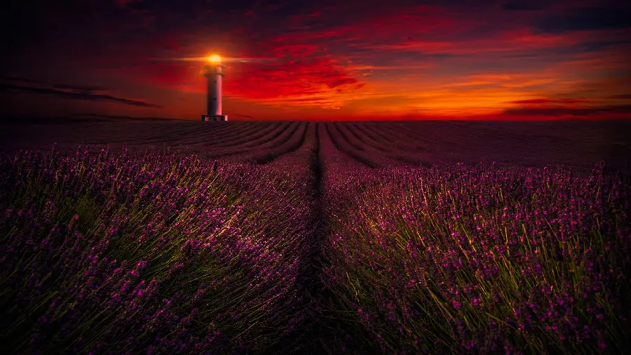 Free download Full HD photo of amazing red nature 