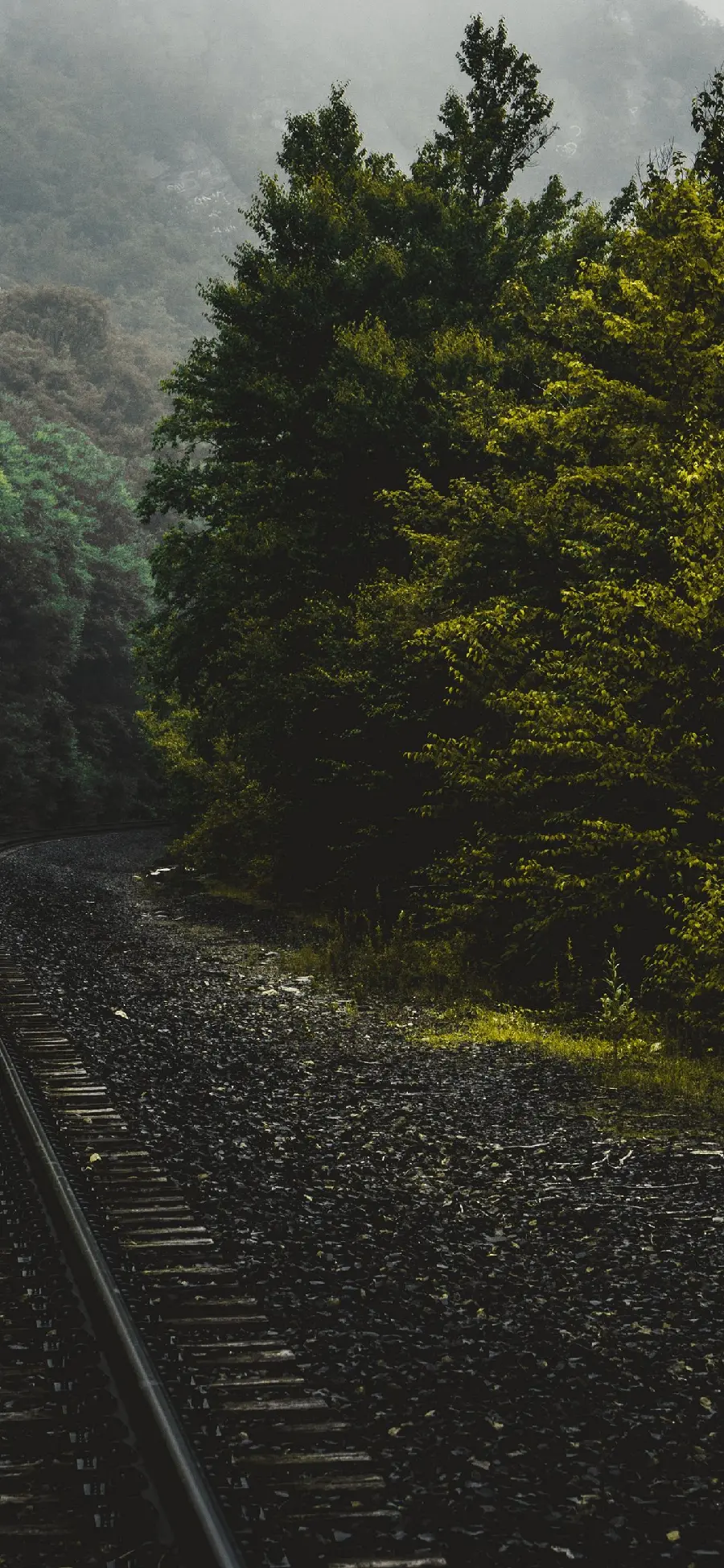 Background suitable for Android phones with a forest and railroad design