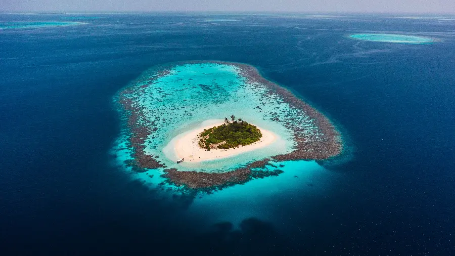 Pure vector of the island in the middle of the ocean for laptop background