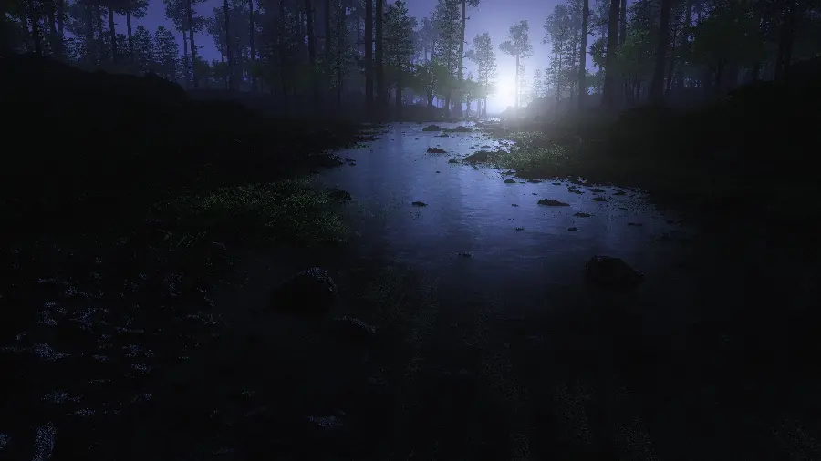 A new and spectacular photo of a dark forest for Windows 11