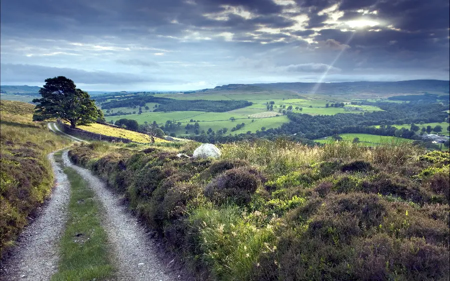Ideal wallpaper of the road in the heart of green nature with HD quality 