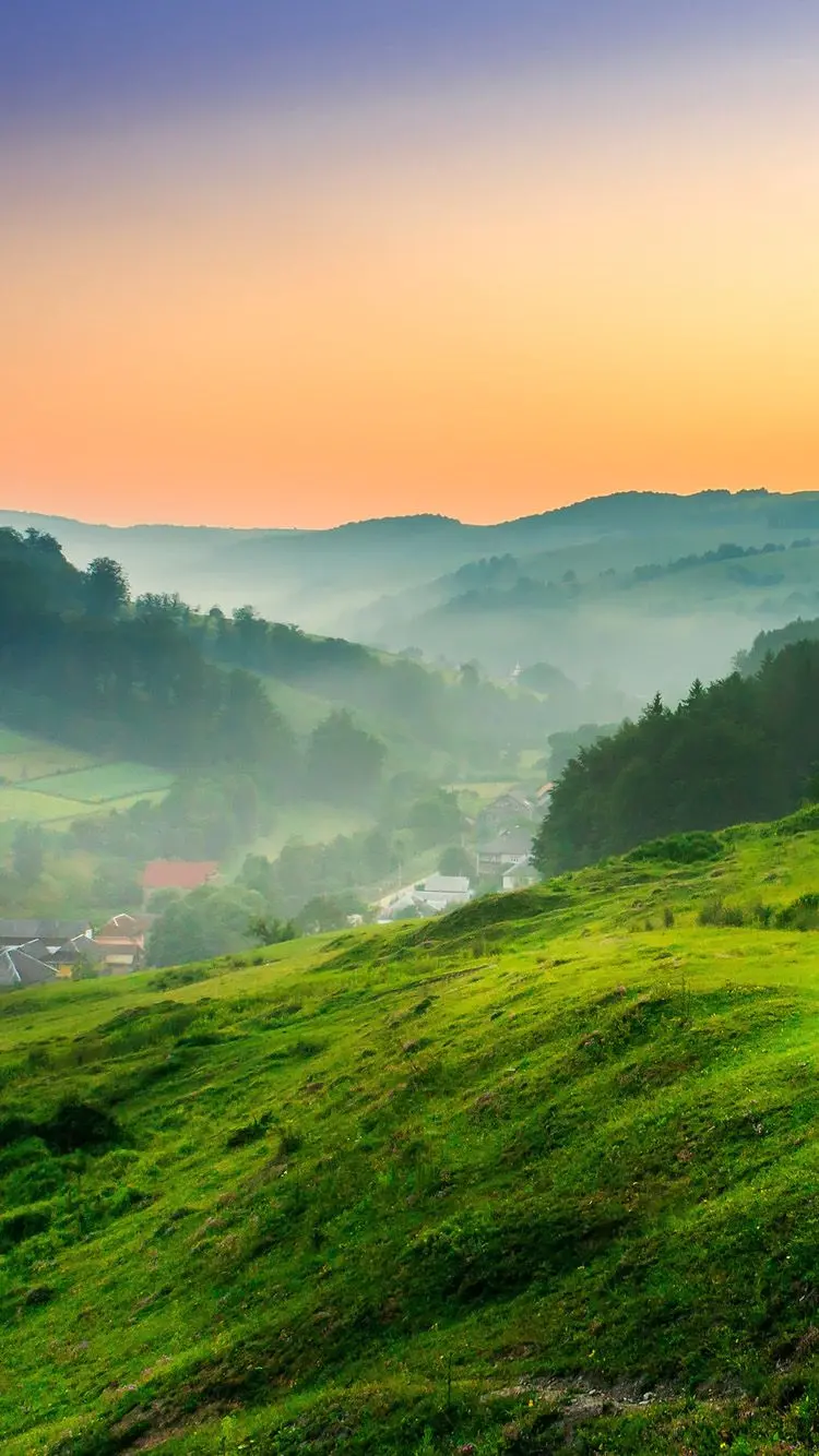 Eye-catching nature background for Samsung phone