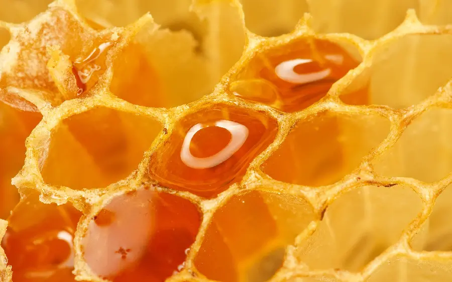 Spectacular Honey Background from a Close Angle for Windows 11