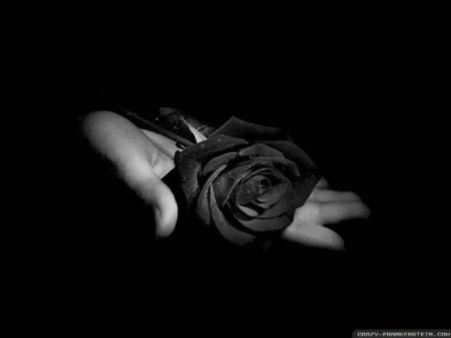 Profile photo for the death of loved ones with a black flower design in hand