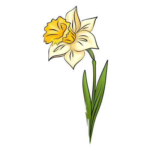 Fantasy painted and colored image of a branch of daffodils
