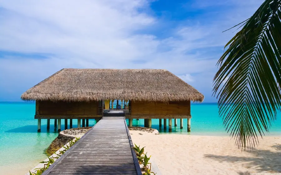 Download Simple Background of Sunny Beach Villa and Path High quality