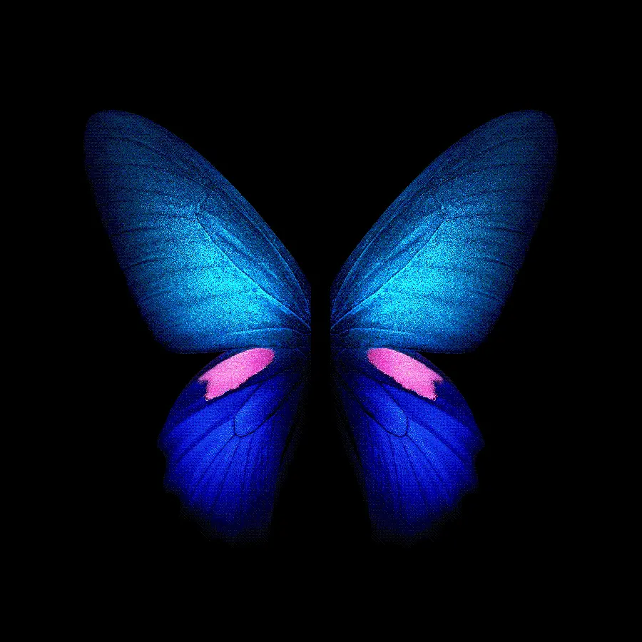 Stylish The most beautiful GALAXY FOLD wallpaper with a bright butterfly design 