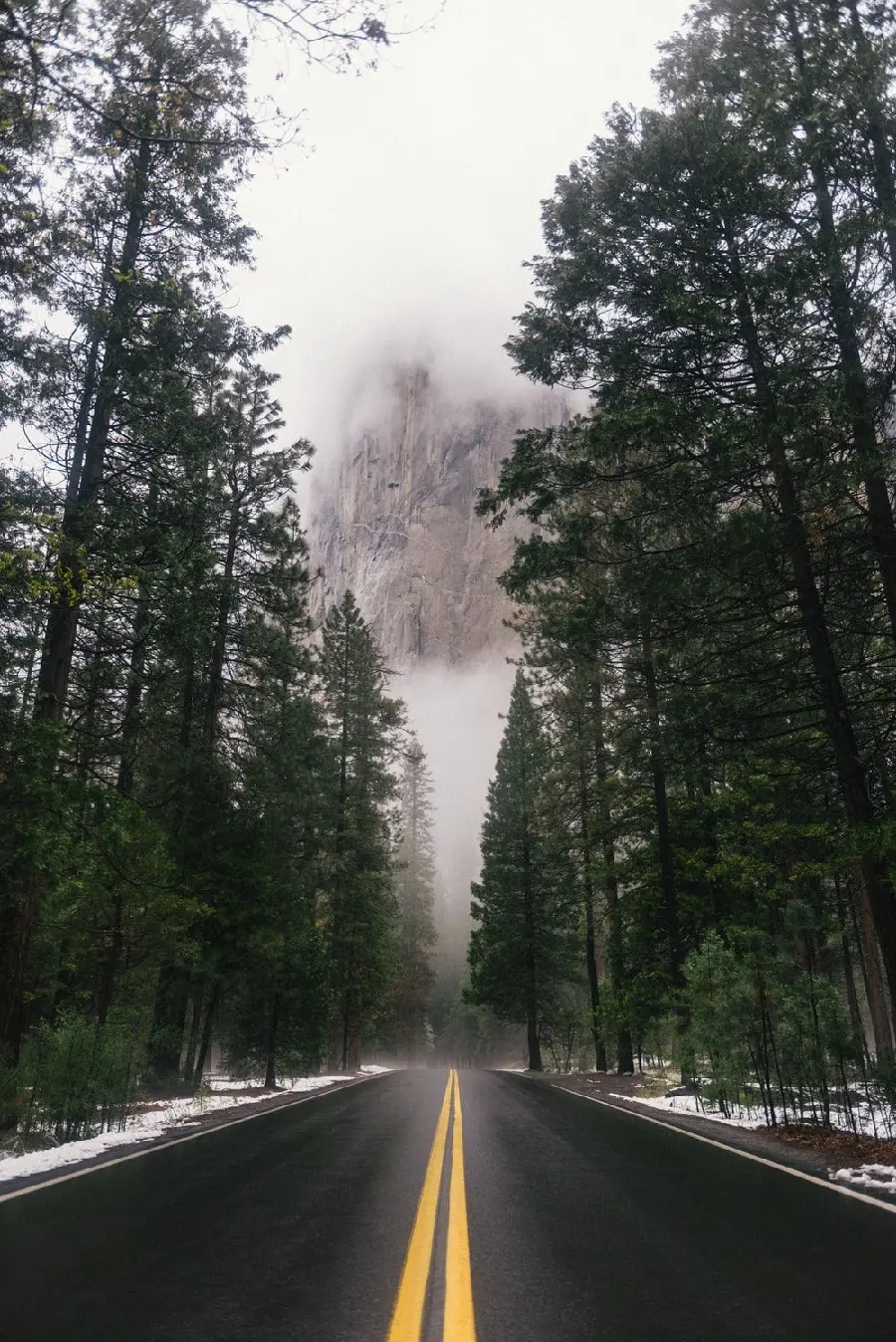 Unique Full HD photo of forest road in winter 