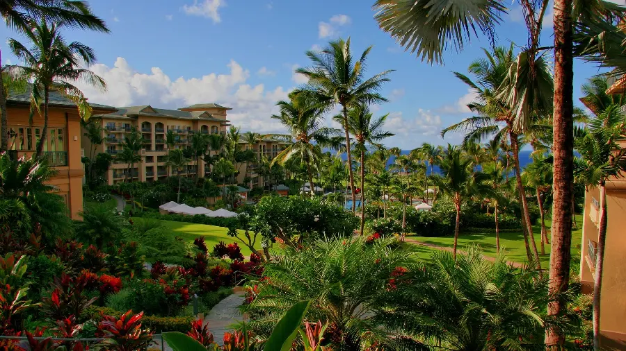 Background Very beautiful from the mansion rising in the heart of nature in HD quality 