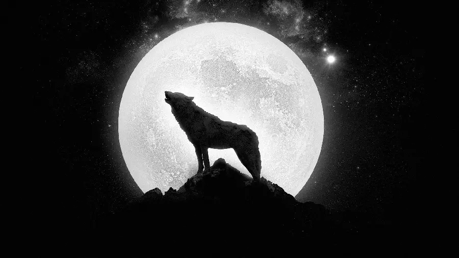 Download Wolf and Moon Wallpaper for Laptop and Computer 