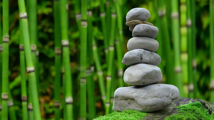 Full HD laptop background with a stone arrangement design in a green forest