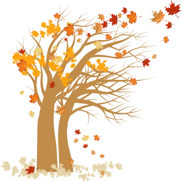 PNG wallpaper of an autumn tree with a cartoon theme Melih